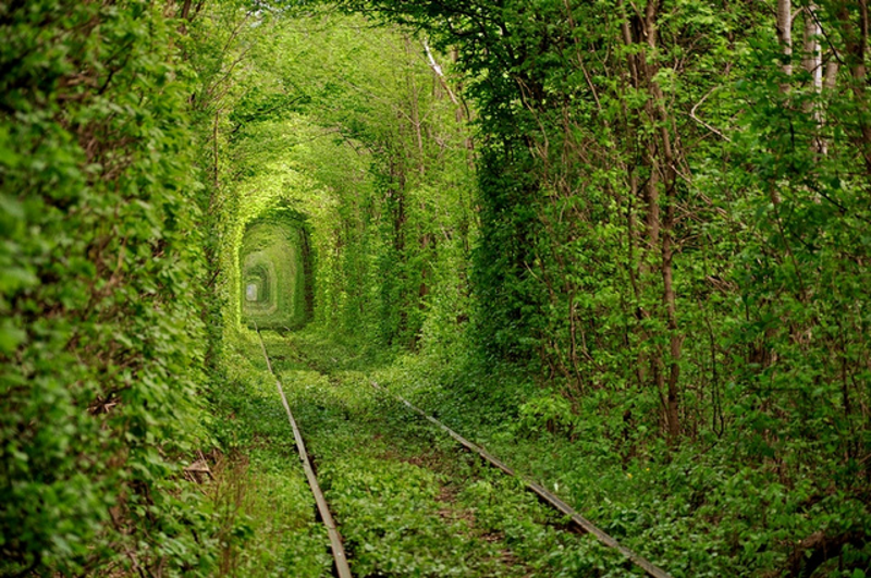 Illustration for article titled These Extraordinary Tunnels Look Like Gateways to Other Worlds